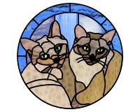 (image for) 2 Siamese cats, round