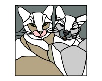 (image for) 2 Siamese cats